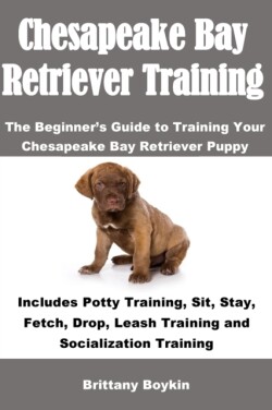 Chesapeake Bay Retriever Training