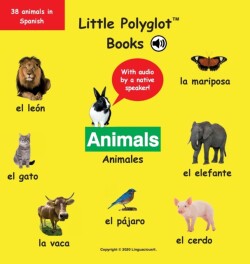 Animals/Animales Spanish Vocabulary Picture Book (with Audio by a Native Speaker!)