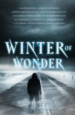 Winter of Wonder