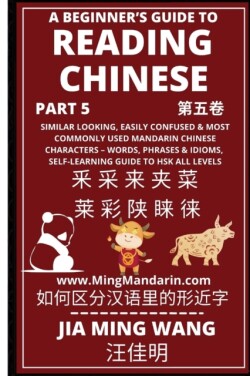 Beginner's Guide To Reading Chinese (Part 5) Similar Looking, Easily Confused & Most Commonly Used Mandarin Chinese Characters - Words, Phrases & Idioms, Self-Learning Guide to HSK All Levels