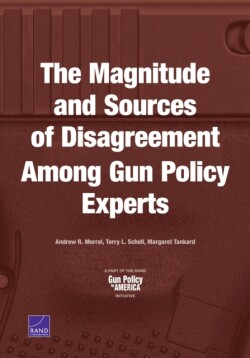 Magnitude and Sources of Disagreement Among Gun Policy Experts