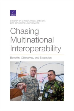 Chasing Multinational Interoperability