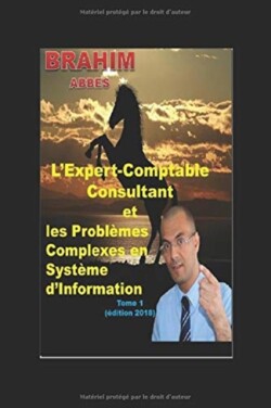 L'Expert-Comptable Consultant et les Problèmes Complexes en Système d'Information (Tome 1)