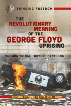 Revolutionary Meaning of the George Floyd Uprising