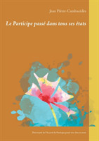 Participe passé dans tous ses états