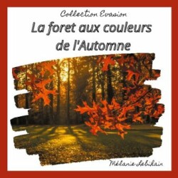 forêt aux couleurs de l'Automne