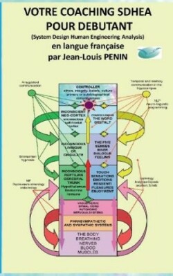 Votre coaching SDHEA pour débutant