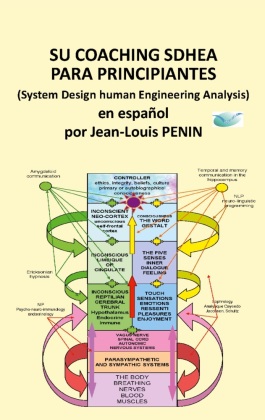 coaching SDHEA para principiantes