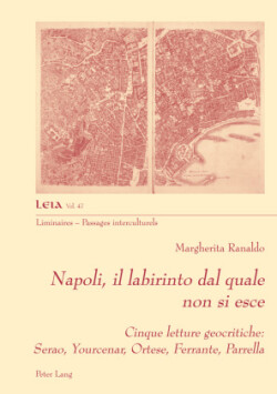 Napoli, il labirinto da cui non si esce