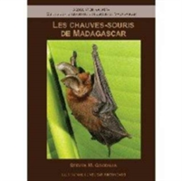 Les Chauves–Souris de Madagascar