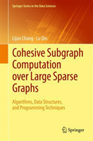 Cohesive Subgraph Computation over Large Sparse Graphs