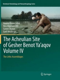 Acheulian Site of Gesher Benot Ya‘aqov Volume IV