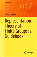Representation Theory of Finite Groups: a Guidebook