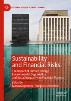 Sustainability and Financial Risks