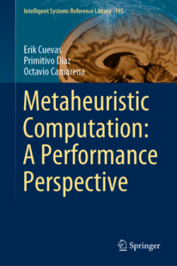 Metaheuristic Computation: A Performance Perspective