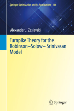 Turnpike Theory for the Robinson–Solow–Srinivasan Model