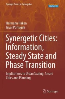 Synergetic Cities: Information, Steady State and Phase Transition