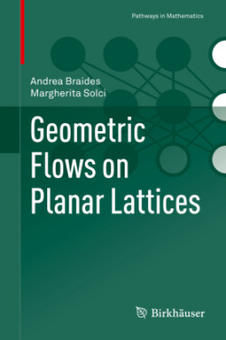 Geometric Flows on Planar Lattices