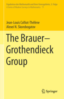 Brauer–Grothendieck Group