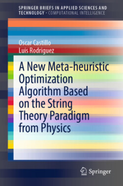 New Meta-heuristic Optimization Algorithm Based on the String Theory Paradigm from Physics