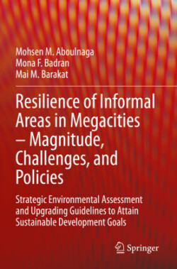 Resilience of Informal Areas in Megacities – Magnitude, Challenges, and Policies