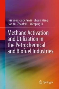 Methane Activation and Utilization in the Petrochemical and Biofuel Industries