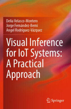 Visual Inference for IoT Systems: A Practical Approach