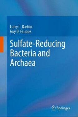 Sulfate-Reducing Bacteria and Archaea