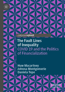 Fault Lines of Inequality