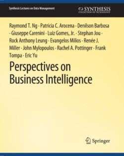 Perspectives on Business Intelligence