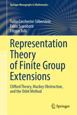 Representation Theory of Finite Group Extensions