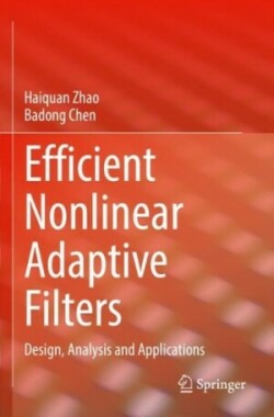 Efficient Nonlinear Adaptive Filters