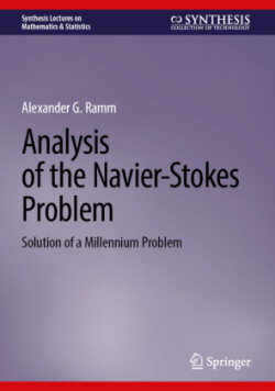 Analysis of the Navier-Stokes Problem