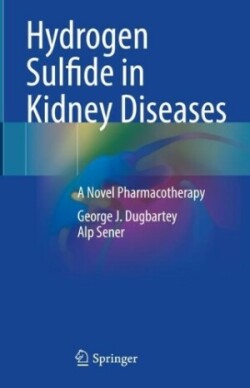 Hydrogen Sulfide in Kidney Diseases