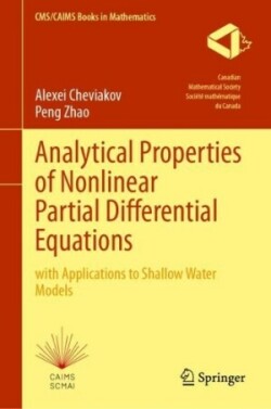 Analytical Properties of Nonlinear Partial Differential Equations