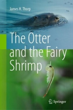 Otter and the Fairy Shrimp