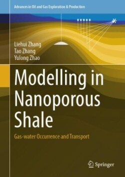 Modelling in Nanoporous Shale