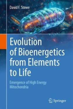 Evolution of Bioenergetics from Elements to Life