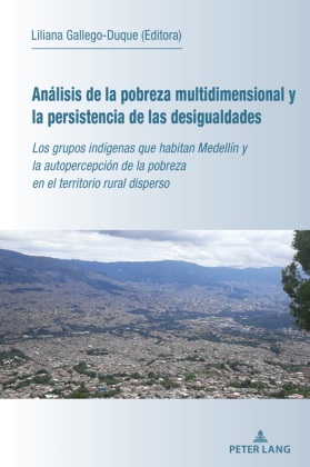 Análisis de la Pobreza Multidimensional Y La Persistencia de Las Desigualdades