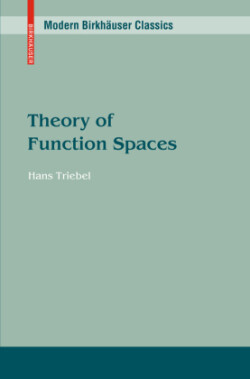 Theory of Function Spaces