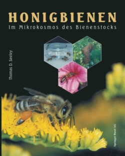 Honigbienen