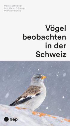 Vögel beobachten in der Schweiz