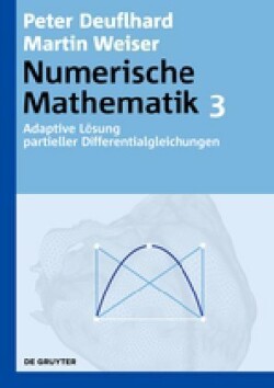 Numerische Mathematik, Bd. 3, Adaptive Lösung partieller Differentialgleichungen