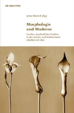 Morphologie und Moderne