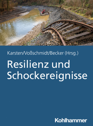 Resilienz und Schockereignisse