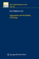 Aggregation and Divisibility of Damage