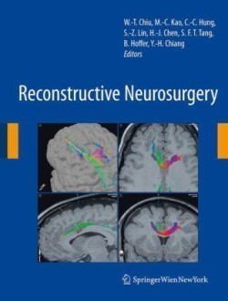 Reconstructive Neurosurgery