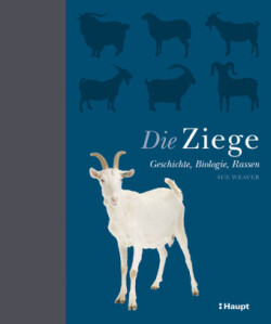 Die Ziege