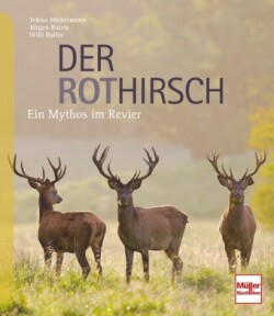 Der Rothirsch