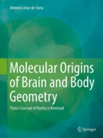 Molecular Origins of Brain and Body Geometry